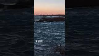 Niagara Falls Canada Dreaming old memories #shortsfeed #viral #trending