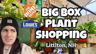 Home Depot & Lowe's Plant Shopping in Littleton, NH ️ Christmas has arrived! 