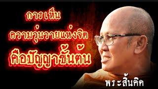 การเห็นความวุ่นวายแห่งจิตคือปัญญาขั้นต้น#พระสิ้นคิด #ธรรมะ #หลวงตาสินทรัพย์