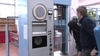 Анастасия Суховая