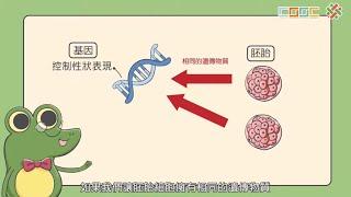 108新課綱｜七下生物｜【延伸】你知道桃莉羊嗎？