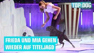 Holen sie sich dieses Jahr den Sieg?  | Top Dog Germany 2024