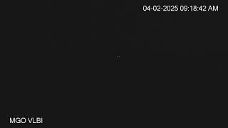 MGO VLBI Live Stream