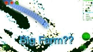 Wormax.io - Big Farm