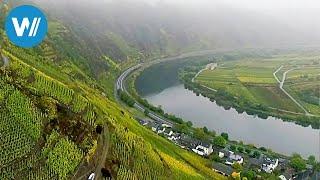 Zauberhafte Mosel (360° - GEO Reportage)