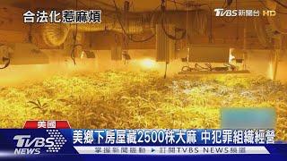 又是中國黑幫! 美媒曝多州暴增 中資收購房產非法種大麻｜TVBS新聞 @TVBSNEWS01