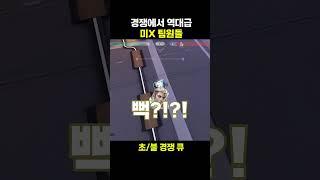 진짜 X친 팀원들ㅋㅋㅋㅋㅋ