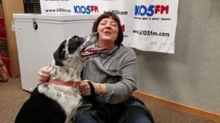 K105 PET OF THE WEEK