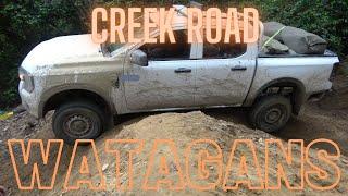 Watagans - Creek Rd