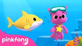 #3D Bebê Tubarão com Pinkfong | Bebê Tubarão | Pinkfong Canções para crianças