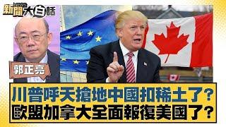 川普呼天搶地中國扣稀土了？歐盟加拿大全面報復美國了？【#金臨天下 X #新聞大白話】20250602-4｜#郭正亮 #介文汲 #嚴震生