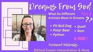 Why did I dream about a Python, Polar Bear, Pit Bull Dog & More? Dream Symbols explained Biblically