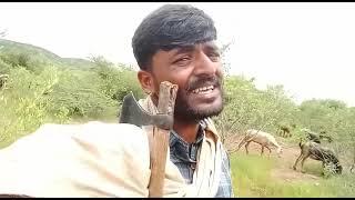 ಮತದೊಳಗ ಹಾಲುಮತ ಶ್ರೇಷ್ಠ ಅದ್ಭುತ ಗಾಯನ ರಮೇಶ್ ಲಮಾಣಿ 