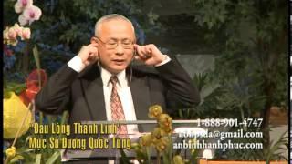 Đau lòng Đức Thánh Linh - Mục sư Dương Quốc Tùng