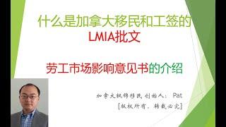 移民加拿大须知：什么是LMIA