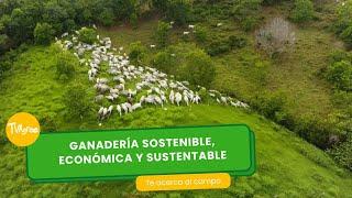 Ganadería sostenible, económica y sustentable- TvAgro por Juan Gonzalo Angel Restrepo