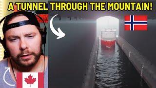 Canadian Reacts to Norway's Cruise Ship Tunnel Plan Explained