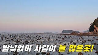 수도권 해루질중 가장 안전하고 통제가 없어 좋은 이곳?! ft.구봉도