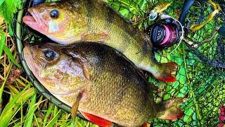 River Lure Fishing for Pike and Perch