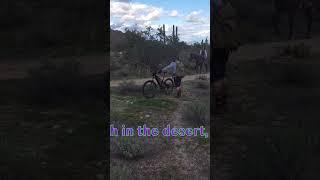 YES, Horses on the Desert Trails: White Tank Mountains. #traillife #horses #trail #traillove