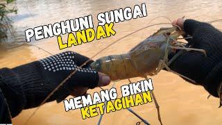 SEKIAN LAMA AKHIRNYA MERASAKAN TARIKAN UDANG SUPER BABON.. #udanggalah #fishing #mancing