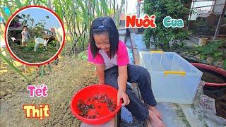 Dự Án Lớn Của Ngọc Mai Làm Bể Nuôi Cua Và Đưa Vẹt Con Sang Nhà Mới / Quế Nghịch