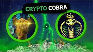 Pitchfork Wizardry with Crypto Cobra