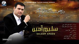 Saleem Ameen/New Song/Poet: Sajid Noor/Dil Cho Sheshaga