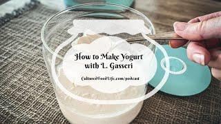 Podcast Episode 226: How to Make Yogurt with L. Gasseri