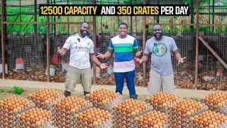 Farm Tour | Inside a 12,500 Capacity Poultry Farm Producing 350 Crates of Eggs per DAY in Ghana.