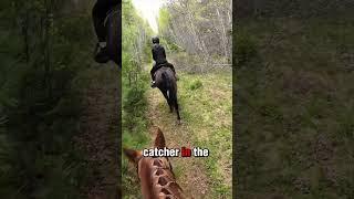 Teens and horses  #horse #horserides #judgedpleasure #equestrian #competition #equine #endurance