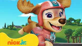 PAW Patrol Liberty Saves the Day!  10 Minutes | Nick Jr.