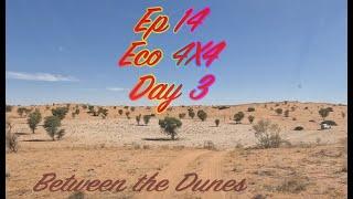 Between the Dunes / Ep 14 / Nossob 4X4 Eco Trail / Day 3