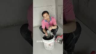 修瓷砖空鼓就这么简单！#施工现场实拍 #瓷砖空鼓维修 #装修知识 #贴砖 #贴砖技巧