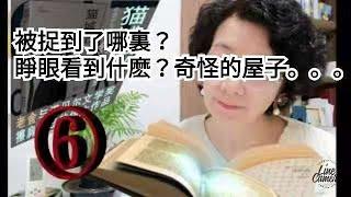 聽書，老舍名著 《貓城記》第6回   我被捉到了哪裏？睜眼看到什麽？奇怪的屋子！