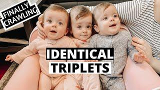 Telling our IDENTICAL Triplets Apart! + The Triplets are CRAWLING!