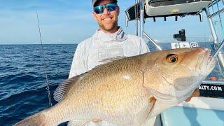 MONSTER Mangrove Snapper! ((Unexpected Encounter)) Anna Maria Island, FL Fishing With Salty