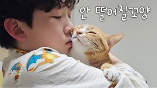 어디도 가지마 안아줘 사랑해줘 졸졸졸 따라다닐거야