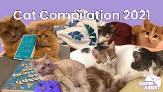 2021 CAT COMPILATION! | The Cats of Game Assist