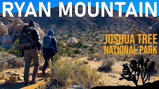 Hiking Ryan Mountain In Joshua Tree National Park