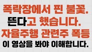 폭락장에 핀 불꽃 2   이런 형태의 차트는 눈 여겨 봐야합니다. 자율주행관련주   떳다.