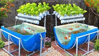 Recyclable cheap but effective aquaponics from plastic barrel