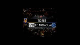 Que exhibición de Futbol! | Tigres vs Motagua