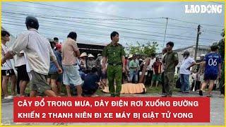 Cây đổ trong mưa, dây điện rơi xuống đường khiến 2 thanh niên đi xe máy bị giật tử vong