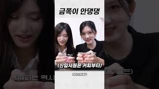 금쪽이 안댕댕 ㅋㅋ