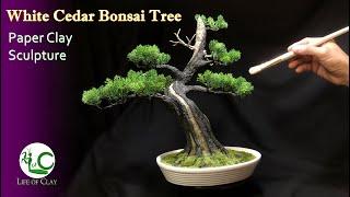 Sculpting Bonsai Tree using Paper Clay _ White cedar _ Thuja occidentalis @LifeofClay