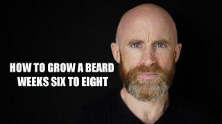 How to Grow a Beard (Weeks Six to Eight)