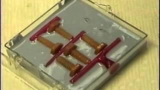 How To: Wax Injection Mold- Duplicating Wax Patterns