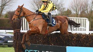 High-class DANCING CITY tees up Brown Advisory bid | Racing TV