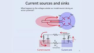 8: Spike Trains - Intro to Neural Computation